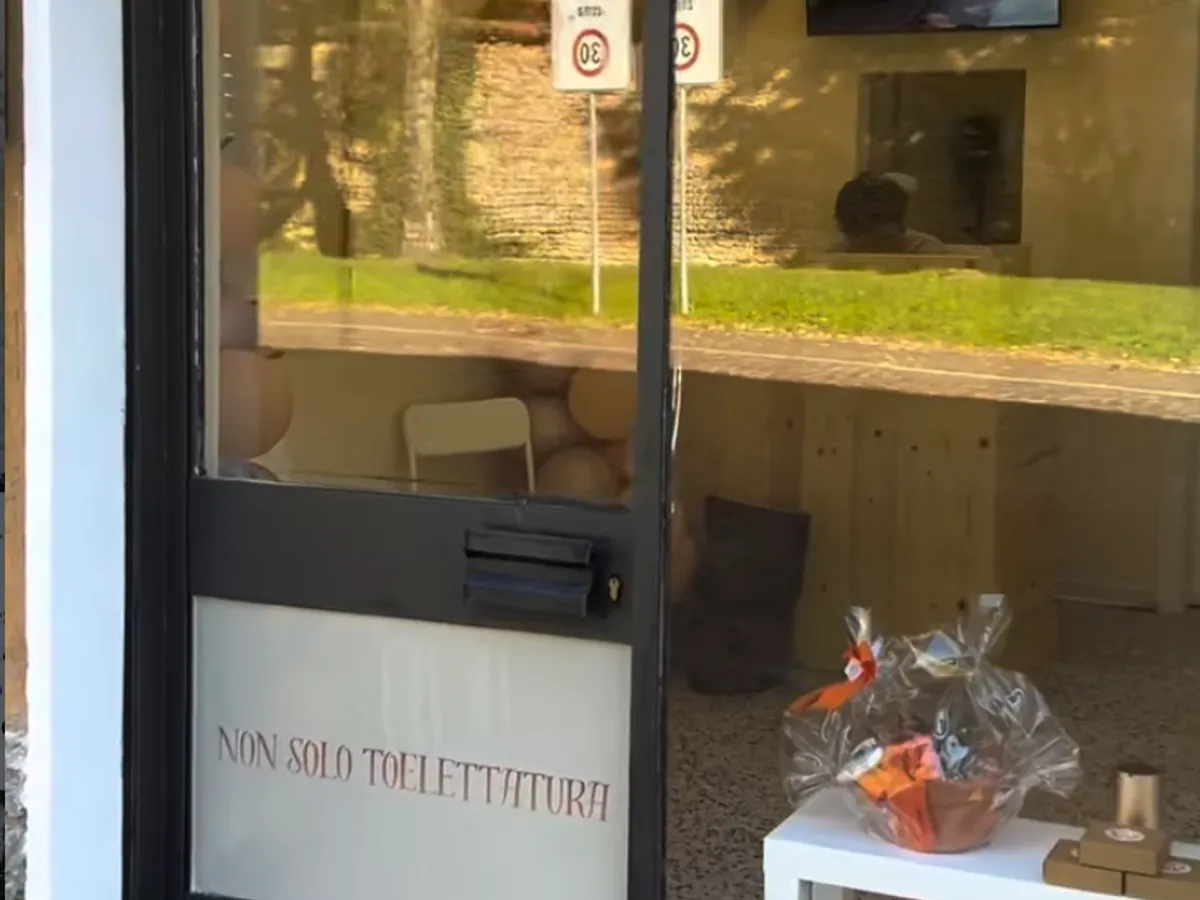 La vetrina della sede Toelé di Cesano Maderno